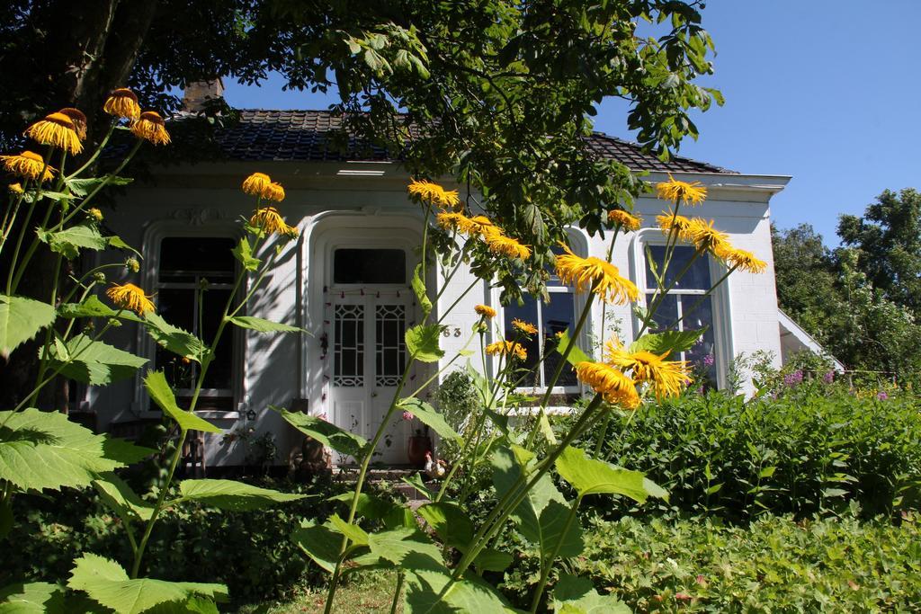 Koningin Van Pieterburen Bed and Breakfast Exteriör bild